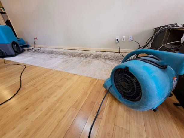 Professional Flood Damage Cleanup technician working in Southampton, NY